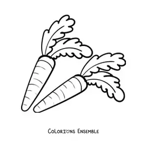 Image à colorier de deux carottes avec leurs feuilles