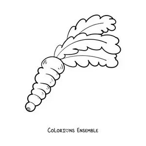 Image à colorier d'une carotte avec de belles feuilles touffues