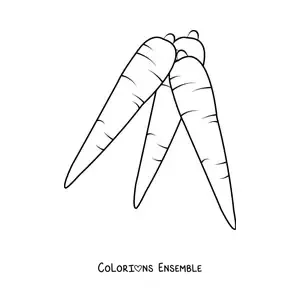 Image à colorier de trois carottes sans feuilles