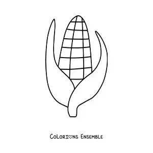 Image à colorier d’un épi de maïs
