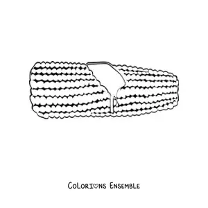 Image à colorier d’un épi de maïs avec du beurre
