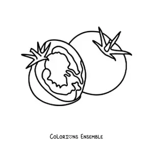 Image à colorier d’une tomate coupée en deux