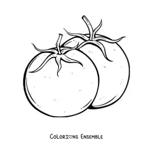 Image à colorier de deux tomates avec leurs feuilles