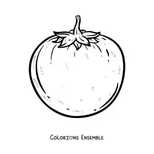 Image à colorier d’une tomate réaliste