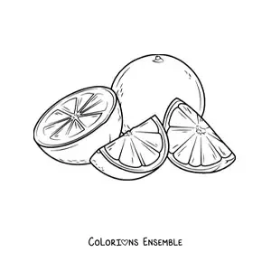 Image à colorier d'une orange entière à côté de quartiers d'une autre orange