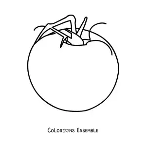 Image à colorier d’une grosse tomate avec ses feuilles