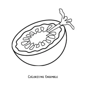 Image à colorier d’une demi-tomate
