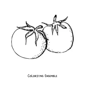 Image à colorier de deux tomates réalistes