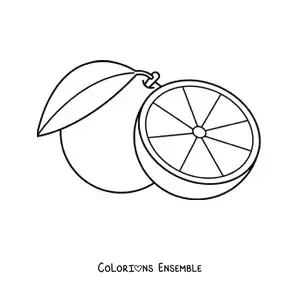 Image à colorier d'une orange et d'une demi-orange