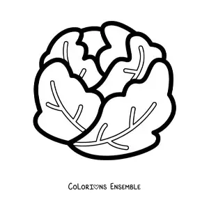 Image à colorier d’une laitue pommée toute simple