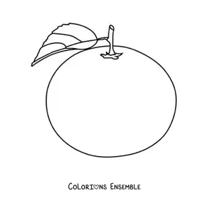 Image à colorier d'une orange avec une feuille et une tige