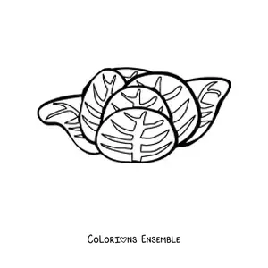 Image à colorier d’une laitue
