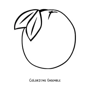 Image à colorier d'une orange avec deux feuilles