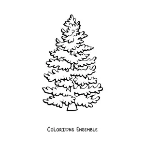 Image à colorier d’un pin touffu