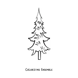 Image à colorier d’un pin tout simple