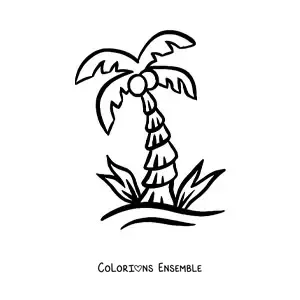 Image à colorier d’un palmier avec des noix de coco