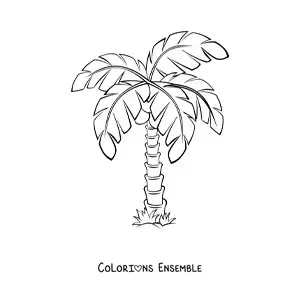 Image à colorier d’un palmier tout simple