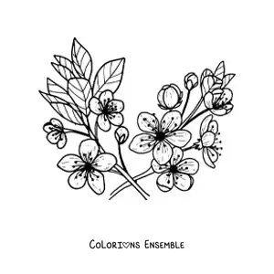 Image à colorier de plusieurs fleurs et feuilles de cerisier