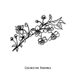 Image à colorier d’une branche de cerisier en fleurs