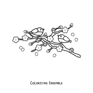 Image à colorier de deux oiseaux posés dans un cerisier
