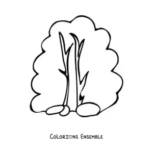 Image à colorier d’un grand buisson