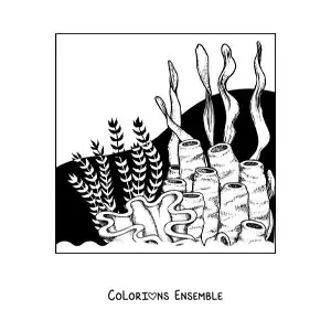 Image à colorier d’algues à côté de coraux