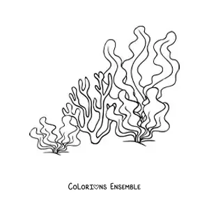 Image à colorier d’algues et d’un corail