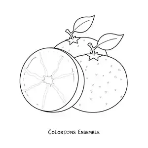 Image à colorier de deux oranges et d'une demi-orange