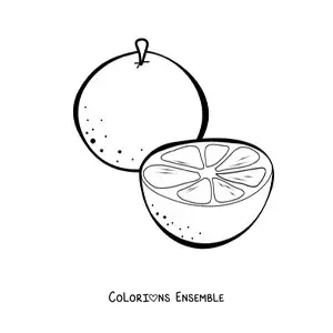 Image à colorier d'une orange et demie