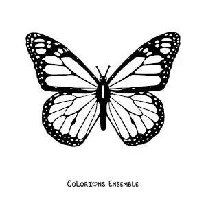 Image à colorier d'un papillon monarque aux ailes ouvertes