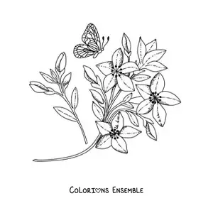 Image à colorier d'un papillon qui vole vers des fleurs