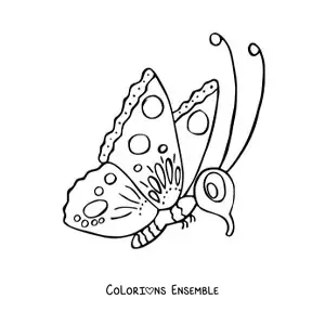 Image à colorier d'un papillon rigolo de profil