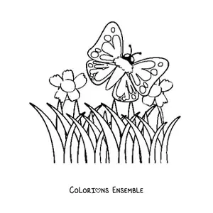 Image à colorier d'un papillon qui vole au-dessus de fleurs dans un champ