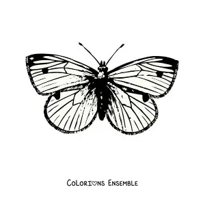 Image à colorier d'un papillon réaliste avec des taches sur les ailes