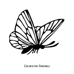 Image à colorier d'un papillon de profil