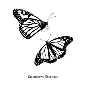 Image à colorier de deux papillons monarques qui volent