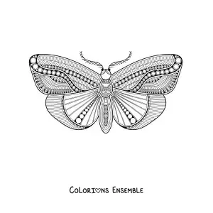 Image à colorier d'un mandala de papillon
