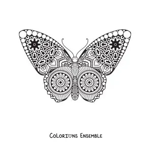 Image à colorier d'un mandala au motif de papillon