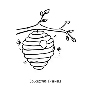 Image à colorier d'un rayon de miel suspendu à une branche