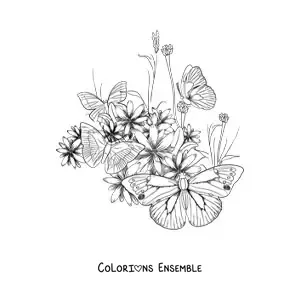 Image à colorier de plusieurs papillons posés sur des fleurs