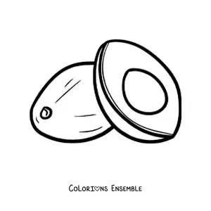 Image à colorier d’un avocat coupé à côté d’un avocat entier