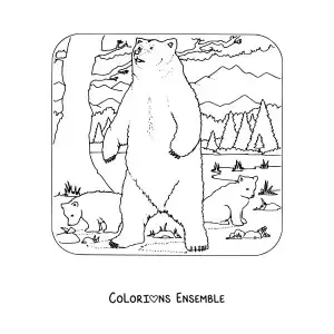 Image à colorier de trois ours grizzlys sauvages dans la forêt