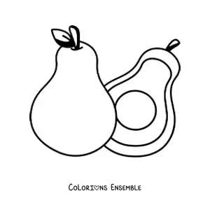 Image à colorier d’un avocat entier à côté d’un demi-avocat