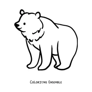 Image à colorier d’un ours à quatre pattes