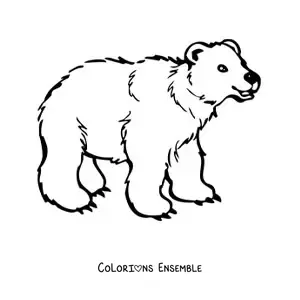 Image à colorier d’un ours rigolo souriant à quatre pattes