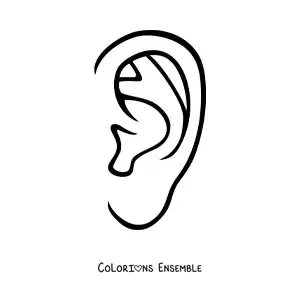 Image à colorier d’une oreille humaine