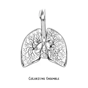 Image à colorier de poumons et d’un cœur réalistes