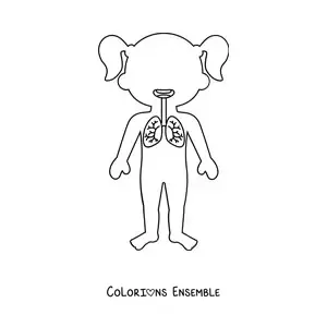 Image à colorier de l’emplacement des poumons dans la silhouette d’une petite fille