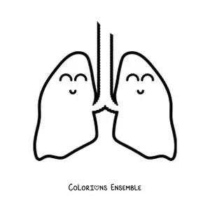 Image à colorier d’une paire de poumons animés et heureux