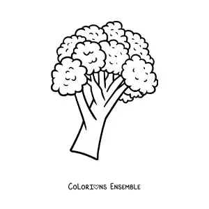 Image à colorier d’un brocoli